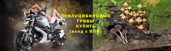 гидропоника Алзамай