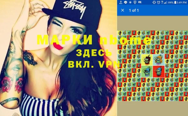 гидропоника Алзамай